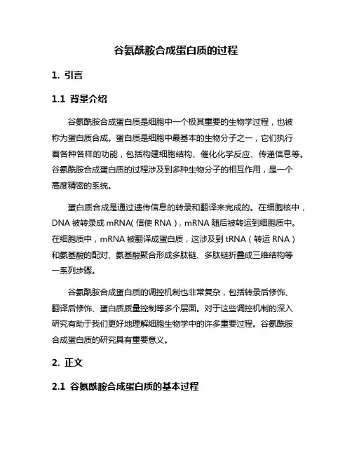 谷氨酰胺合成蛋白质的过程