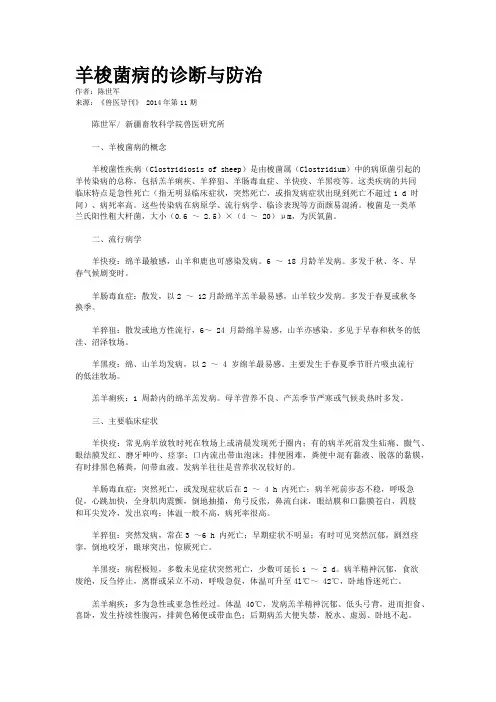 羊梭菌病的诊断与防治