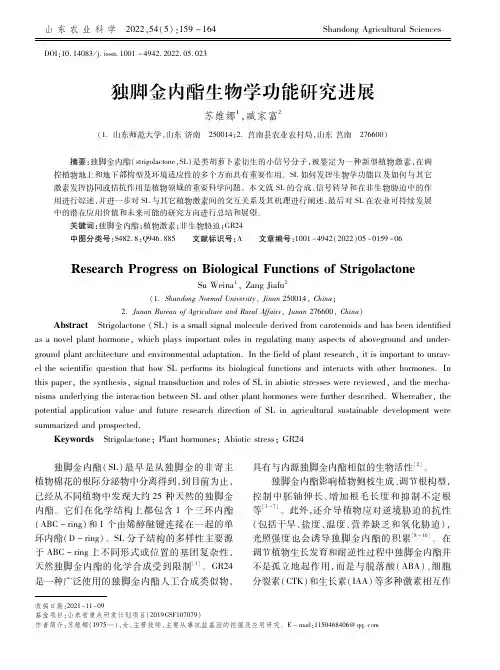独脚金内酯生物学功能研究进展