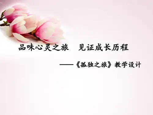 《孤独之旅》ppt课件