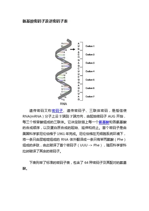 氨基酸密码子及逆密码子表