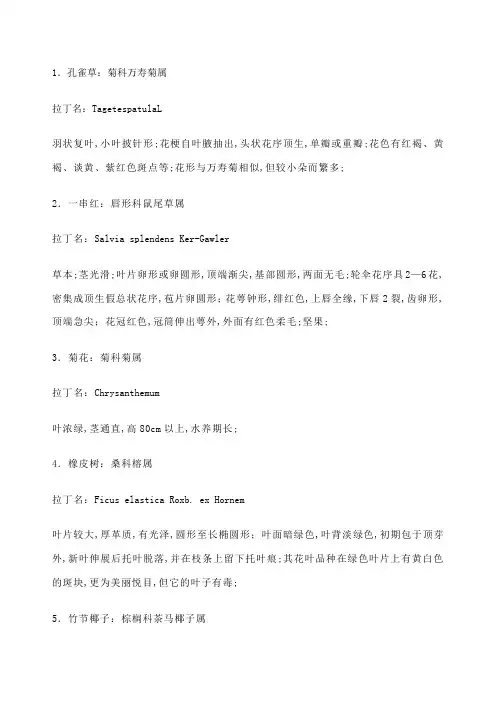 常见植物分类
