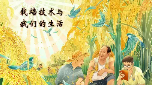 云南省劳动与技术八年级上册课件栽培技术与我们的生活