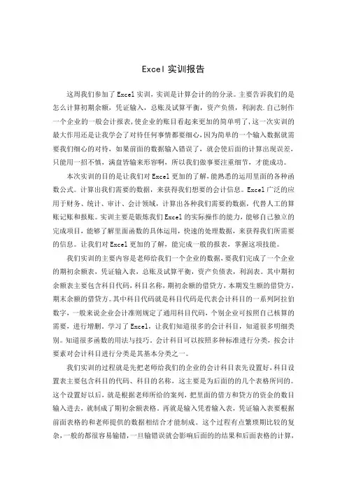 Excel实训报告 1