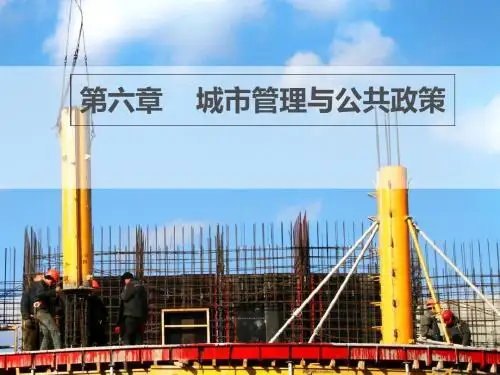第六章城市管理与公共政策