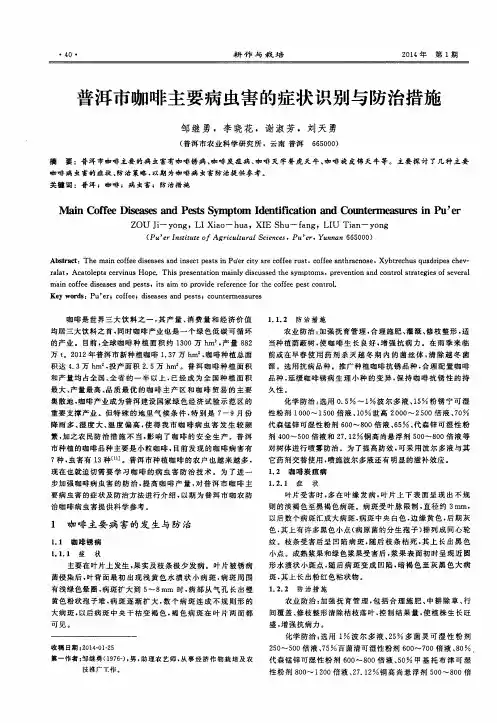 普洱市咖啡主要病虫害的症状识别与防治措施