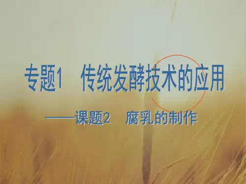 人教高一物理必修二课件-5.5 向心加速度 共21张