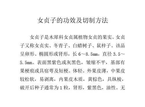 女贞子的功效及切制方法