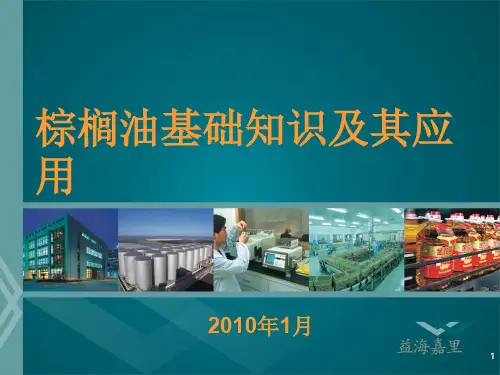 棕榈油知识简介ppt课件