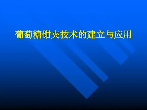葡萄糖钳夹技术