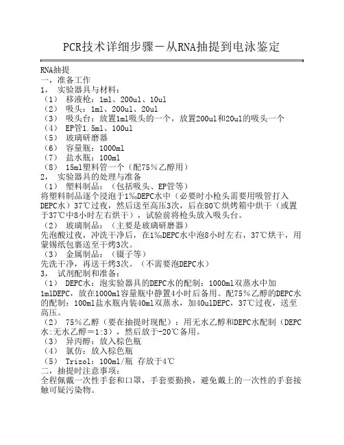 PCR技术详细步骤.