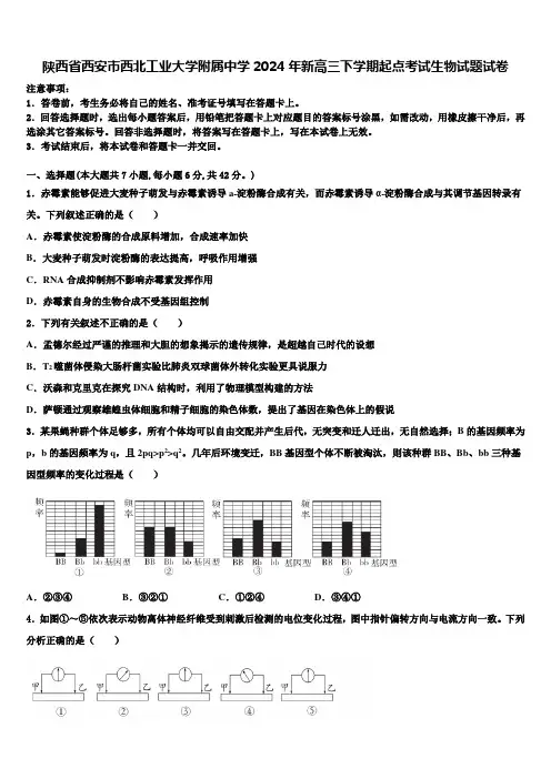 陕西省西安市西北工业大学附属中学2024年新高三下学期起点考试生物试题试卷含解析