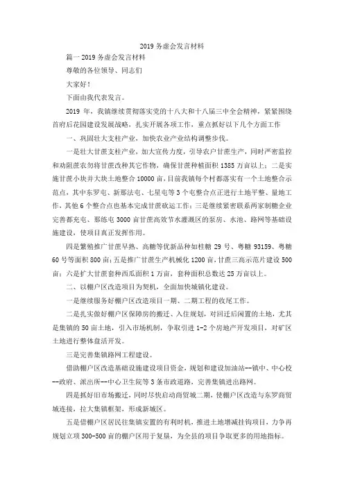 最新-2019务虚会发言材料 精品