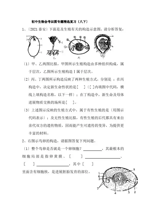 初中生物会考识图专题精选复习八下