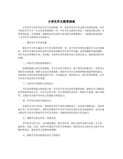 小学生作文指导浅谈