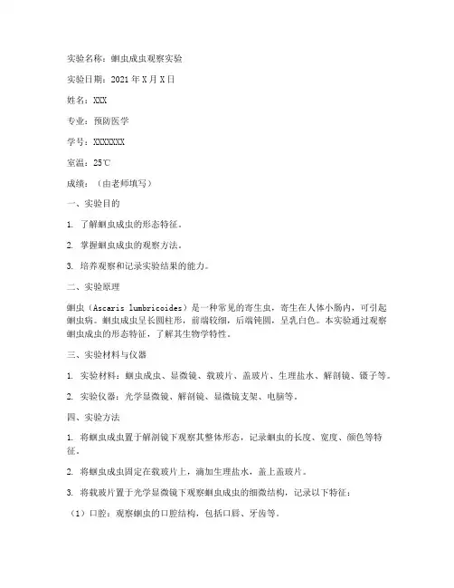 蛔虫成虫实验报告