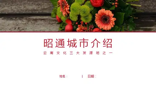 昭通介绍-昭通简介PPT(经典版)