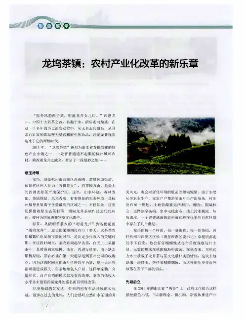 龙坞茶镇：农村产业化改革的新乐章
