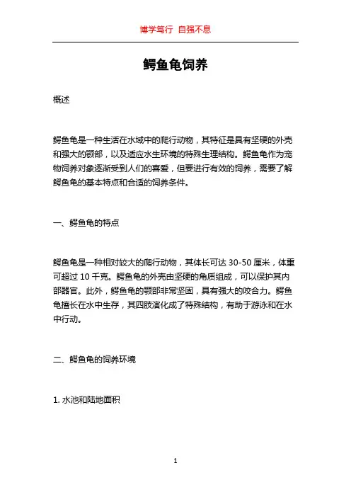鳄鱼龟饲养