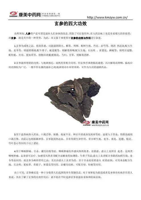 玄参的四大功效