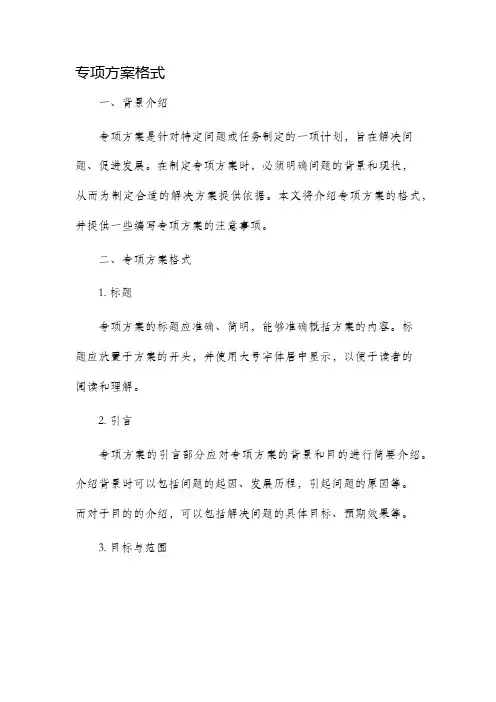 专项方案格式
