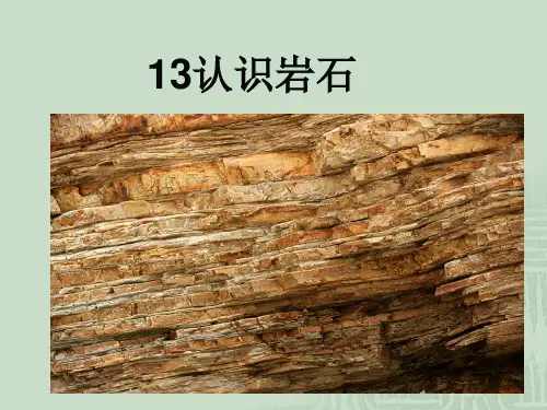 四年级下科学课件-认识岩石_青岛版(五年制)(1)