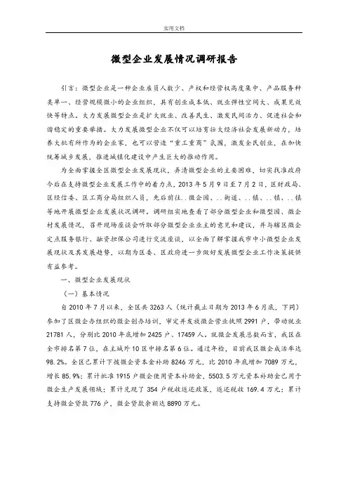 微型企业发展情况调研报告材料