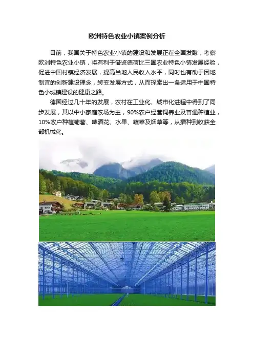 欧洲特色农业小镇案例分析