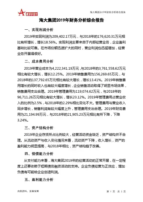 海大集团2019年财务分析结论报告