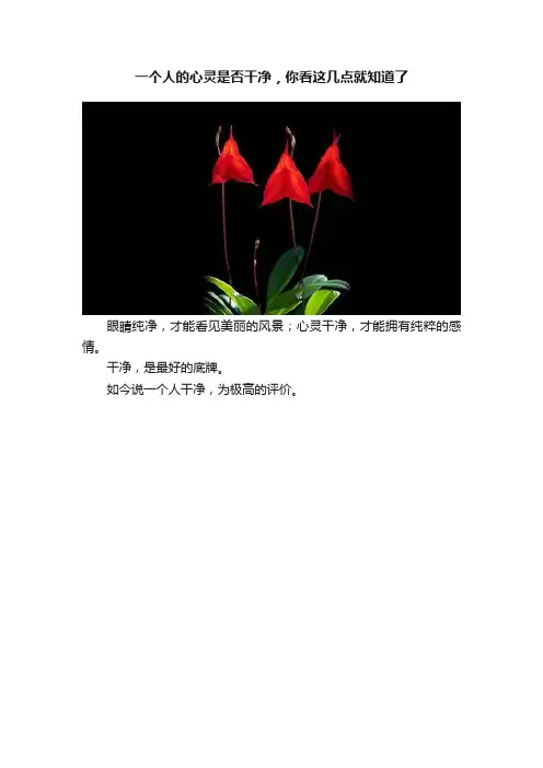 一个人的心灵是否干净，你看这几点就知道了