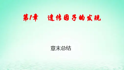 新教材高中生物第1章遗传因子的发现章末总结pptx课件新人教版必修2
