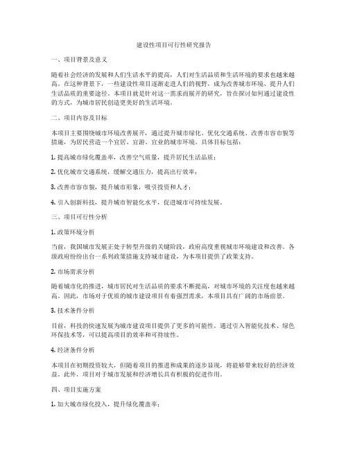 建设性项目可行性研究报告