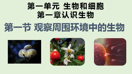 1.1.1观察周边环境中的生物-七年级上册生物同步精讲课件好题精练(人教版2024)