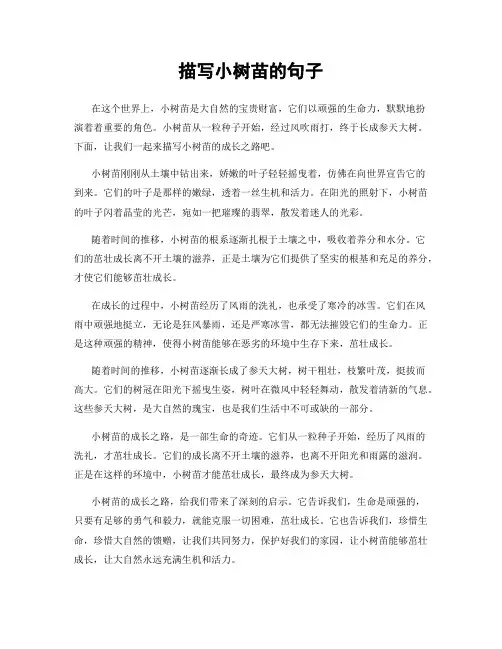 描写小树苗的句子