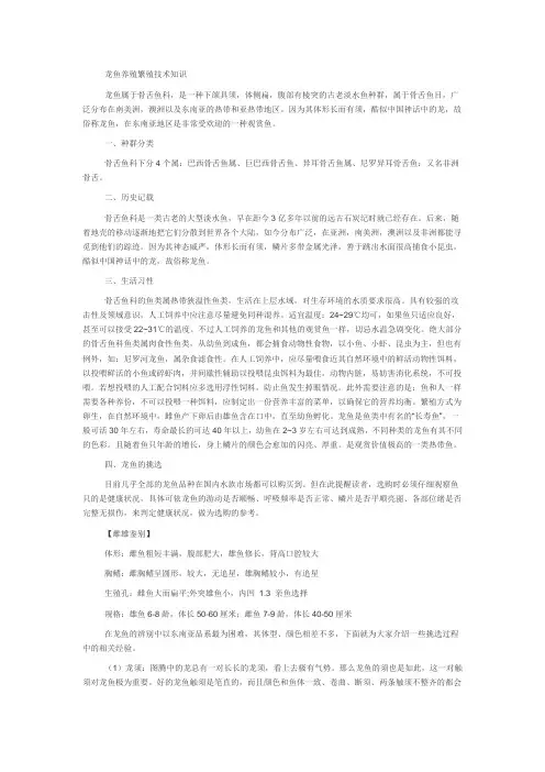 龙鱼