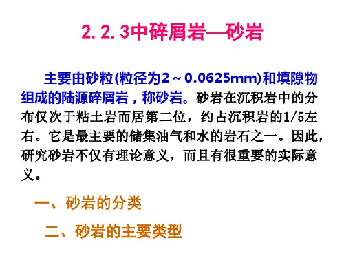 碎屑岩各论