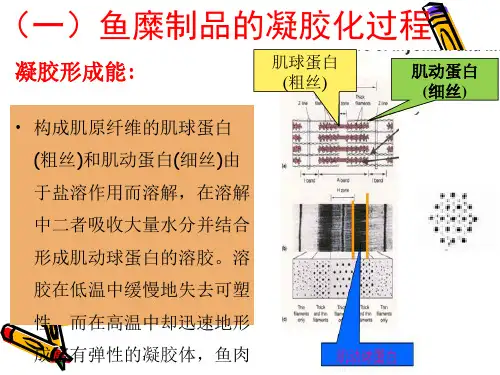 项目四 鱼糜加工技术