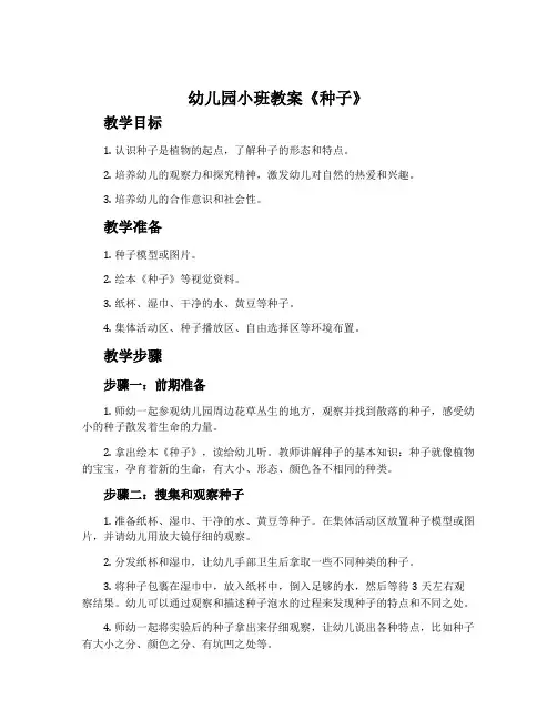 幼儿园小班教案《种子》