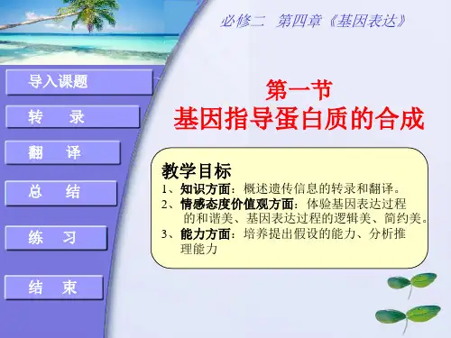 必修2 第四章 第1节 基因指导蛋白质的合成