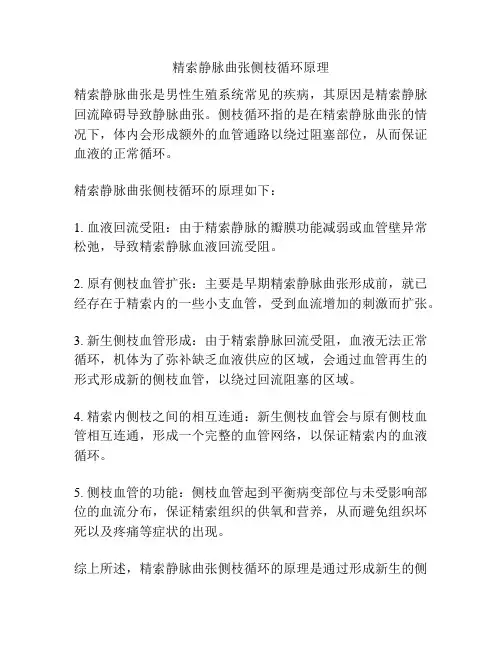 精索静脉曲张侧枝循环原理