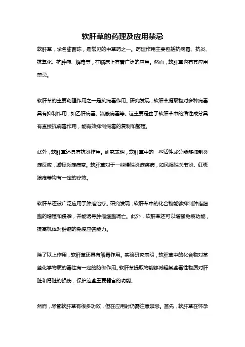 软肝草的药理及应用禁忌