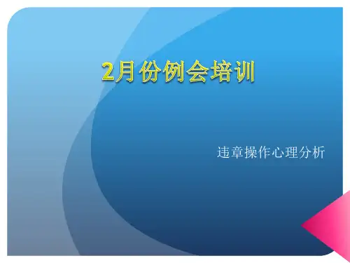 16条违章操作心理