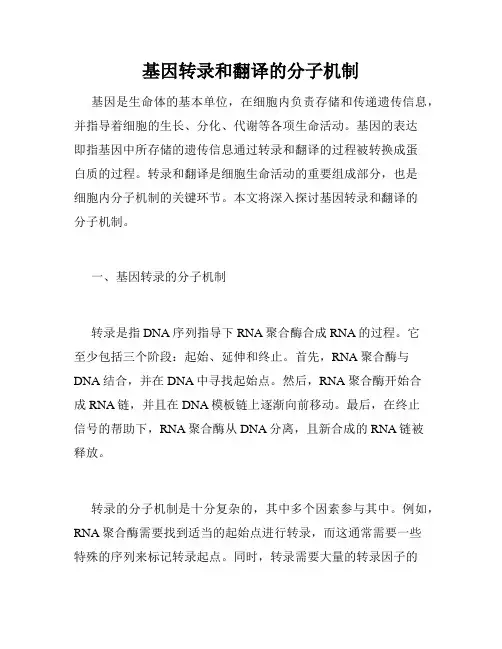 基因转录和翻译的分子机制