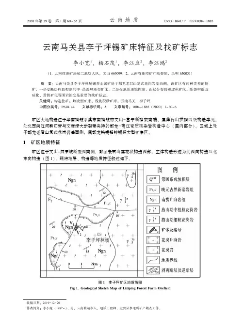 云南马关县李子坪锡矿床特征及找矿标志