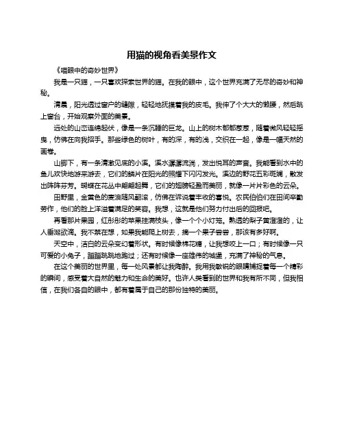用猫的视角看美景作文