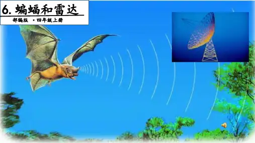 部编版四年级语文(上)PPT《蝙蝠和雷达》完整版ppt