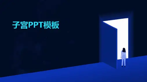 子宫PPT模板