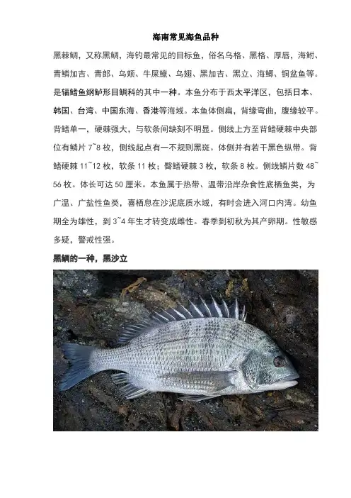 海南常见海鱼品种