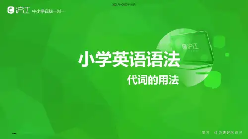 小学英语-代词ppt课件【完整版】