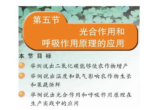 苏教版生物七上3.6.5 光合作用和呼吸作用原理的应用  课件(共33张PPT)